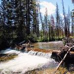 West Saint Louis Creek Trail