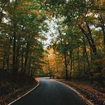 Scenic Drive