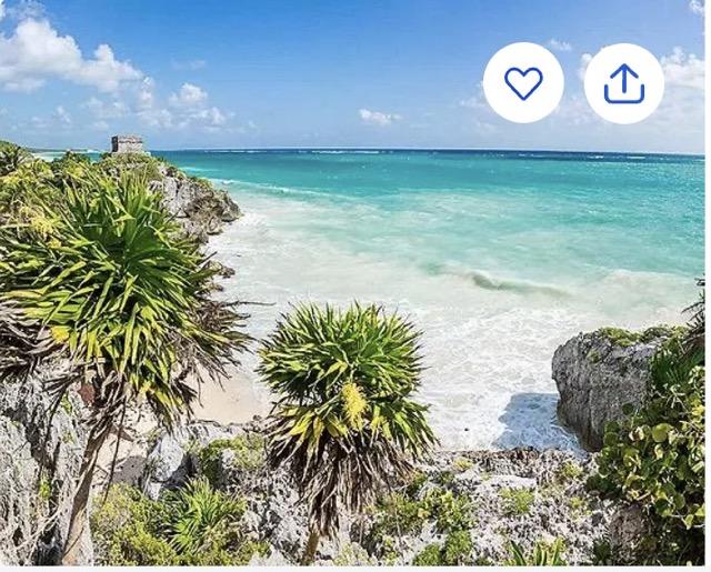 The Wedding Website of Megan Lee and Rob Baldin