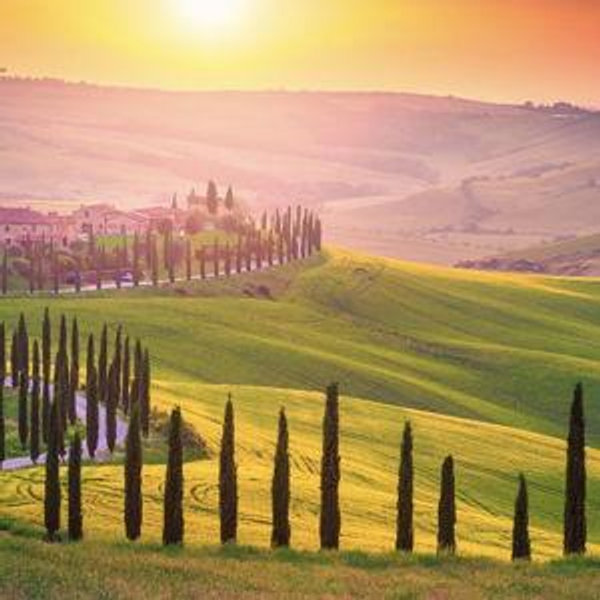 Tuscany Honeymoon!