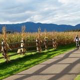 Stowe Recreation Path Peace Park