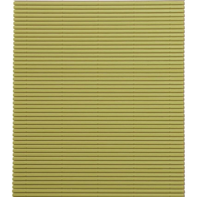 Hasegawa 10 x 9.5 Inch Plastic Green Makisu/Sushi Rolling Mat