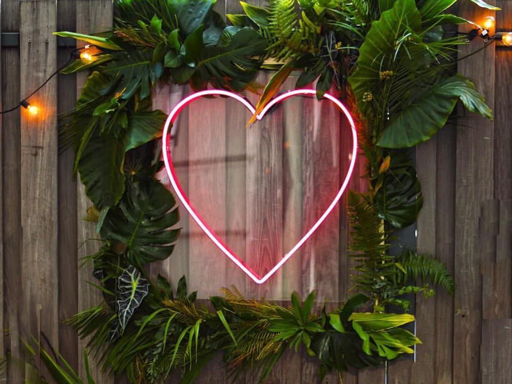The Wedding Website of Dan Saavedra and Sarah Fulton