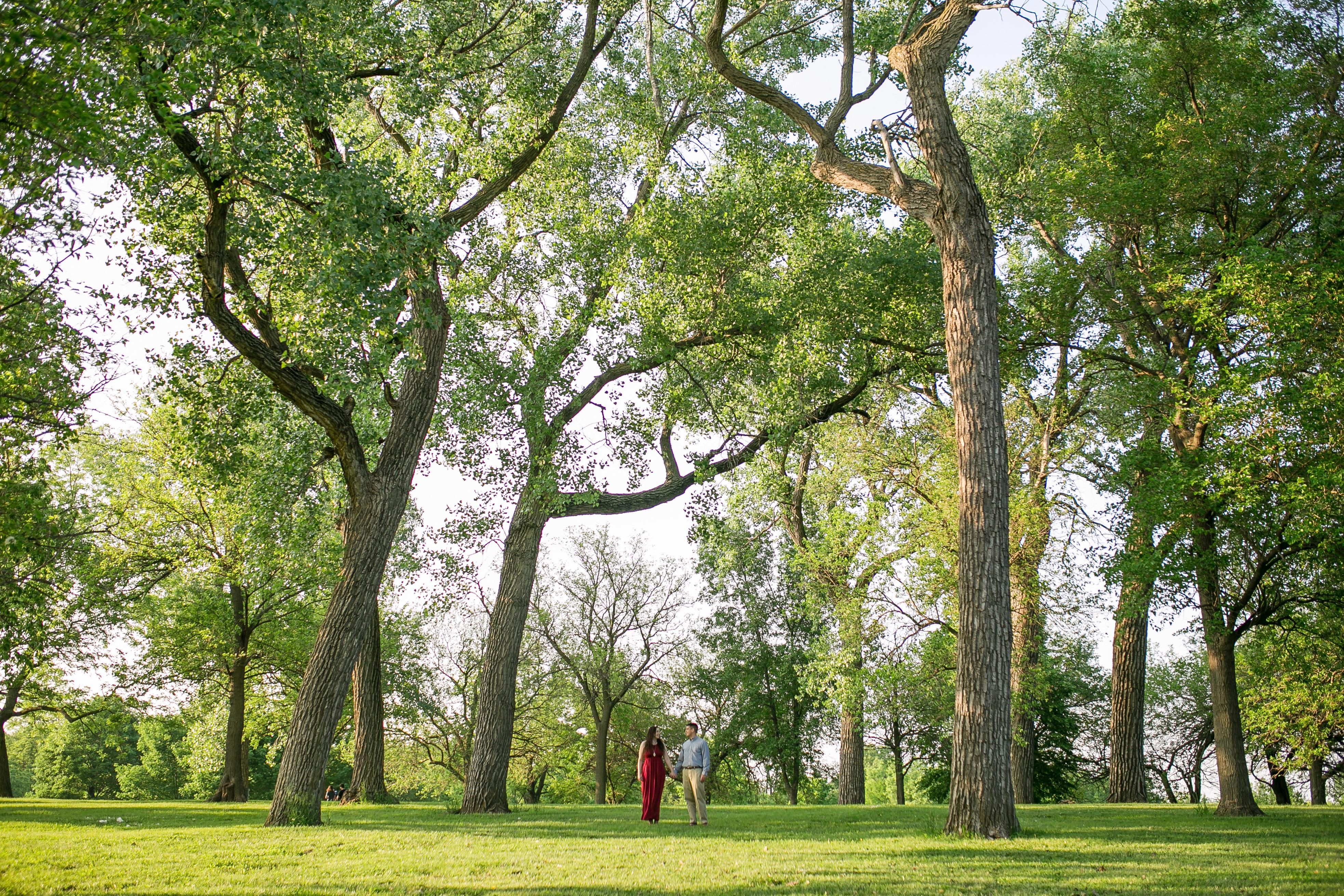 The Wedding Website of Hannah Carpenter and Daniel Bernard