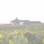 RayLen Vineyards & Winery
