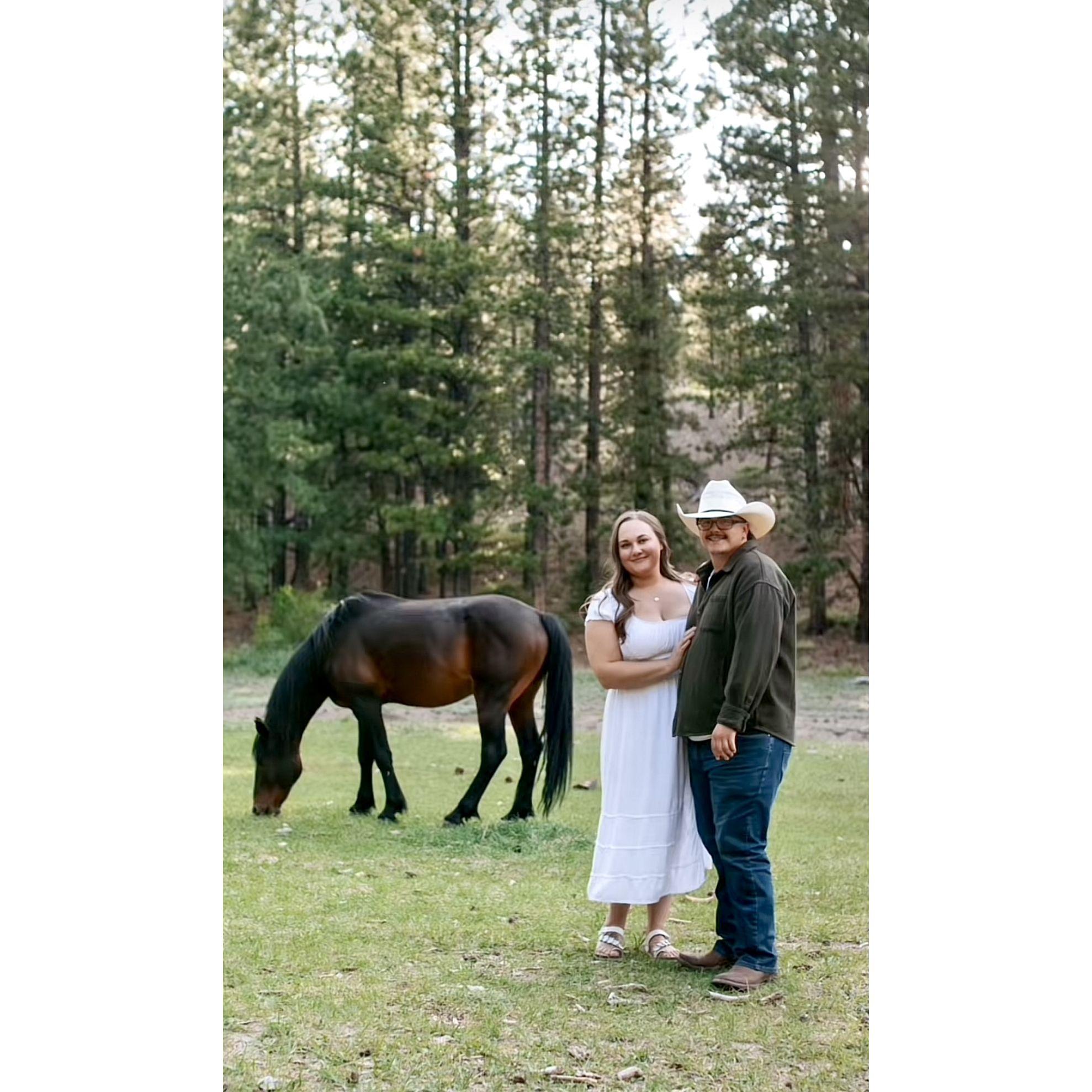 We had so much fun taking these engagement pictures up at Mount Charleston, outside of Vegas. Wild horses were just munching the grass while families were sitting there having picnics.