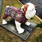 We Let the Dawgs Out: Public Art Exhibition