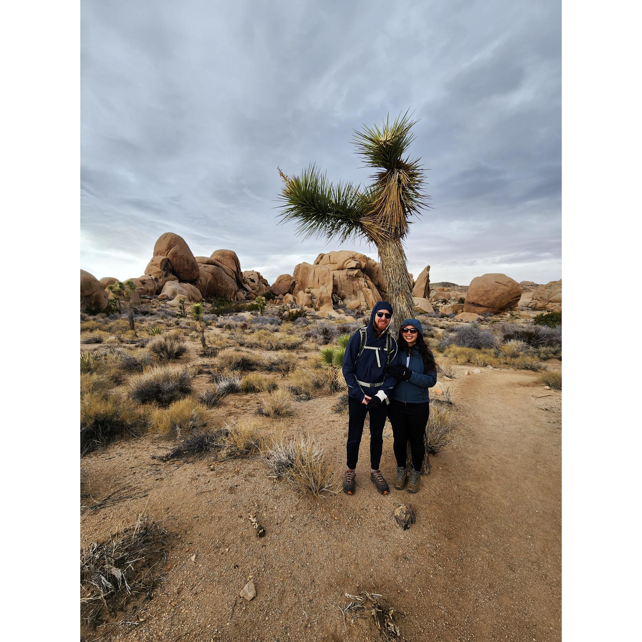 Hiking in Joshua Tree with Justin's parents