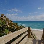 Palm Beach