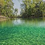 Wekiwa Springs