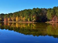 William B. Umstead State Park