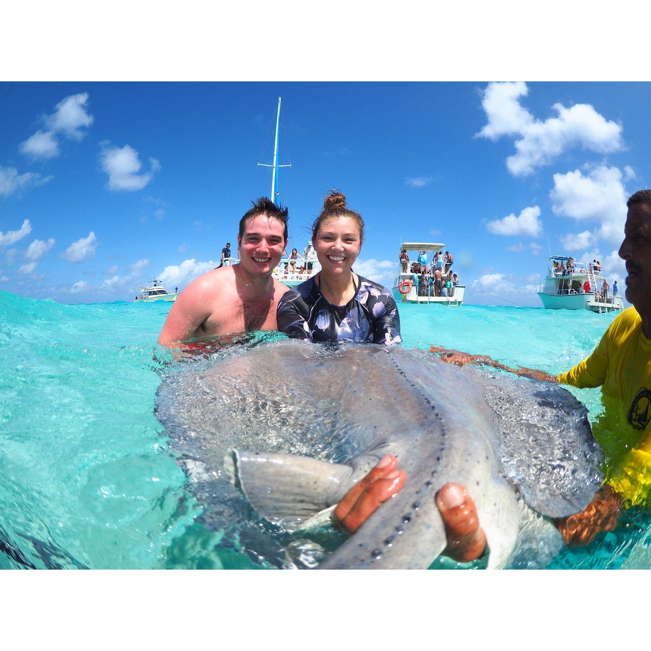 Swimming with stingrays - March 2020