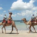🏄‍♂️ Bali Camel Adventure