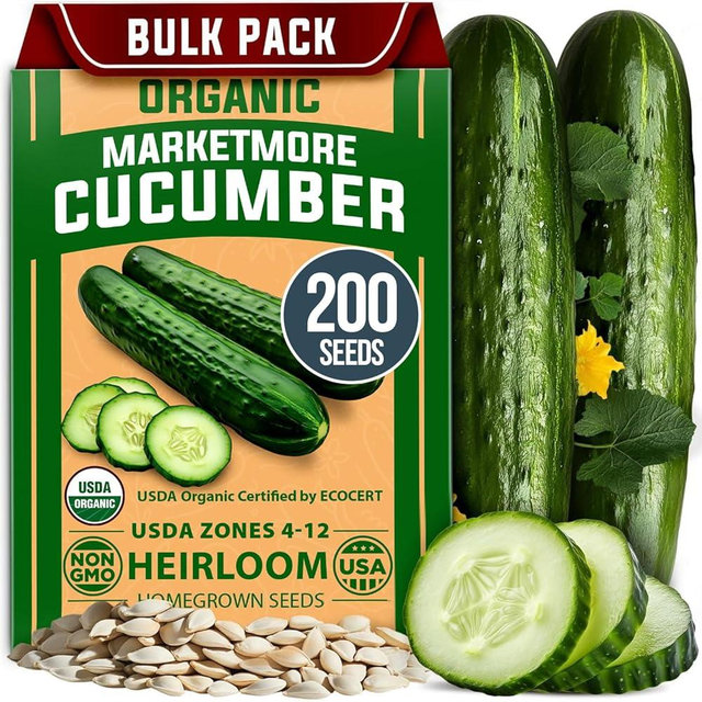 HOME GROWN Non GMO Organic Cucumber Seeds - 200 Marketmore Heirloom Vegetable Seeds for Planting in Trellises, Raised Beds, Containers (Cucumis sativus)
