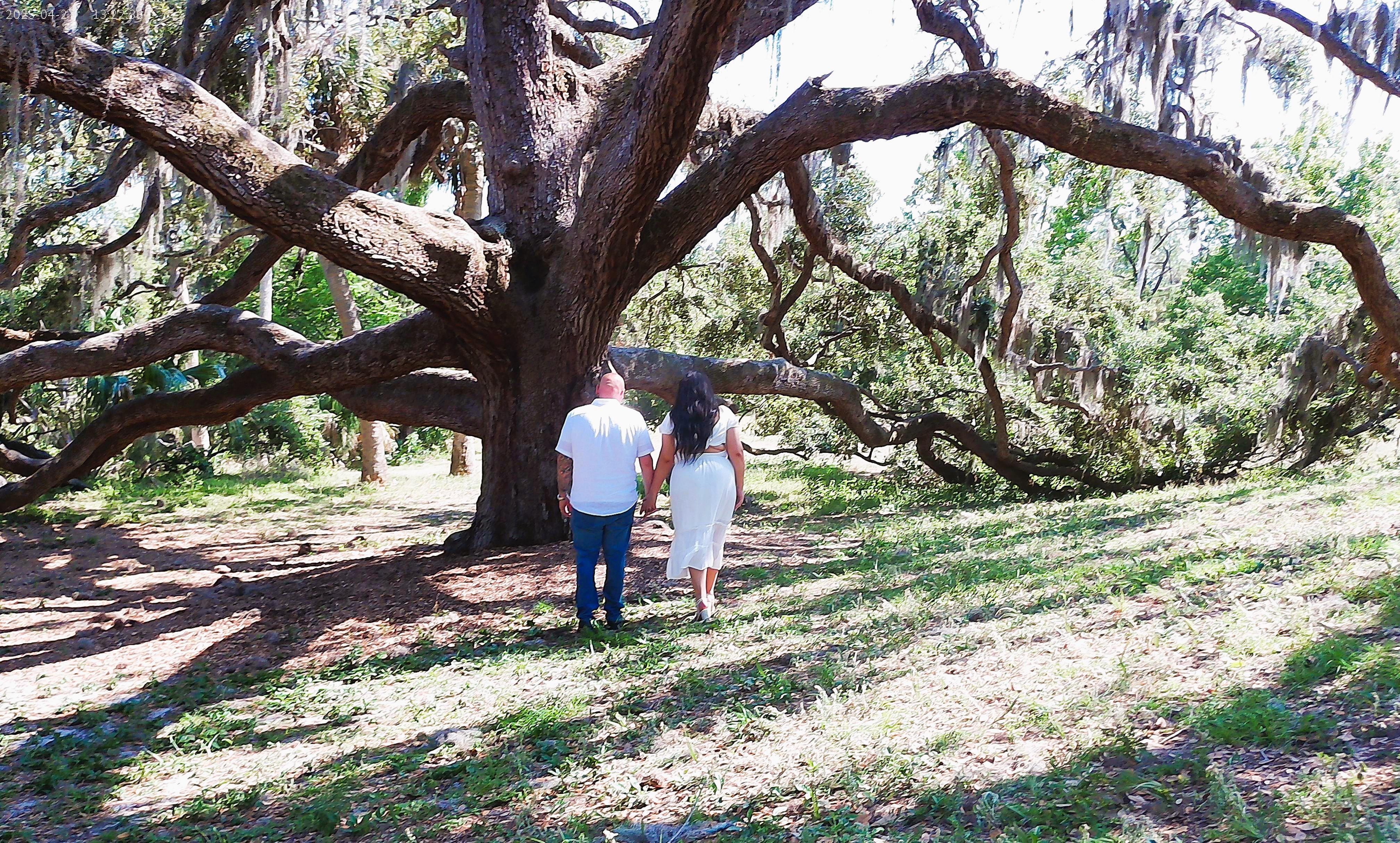 The Wedding Website of Tanishka Figueroa Rivas and Omar El Hage Reyes