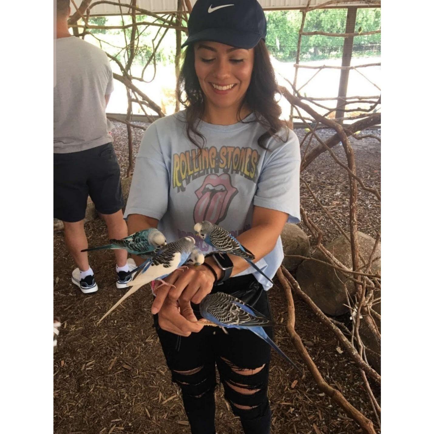 Wisconsin Dells 2020