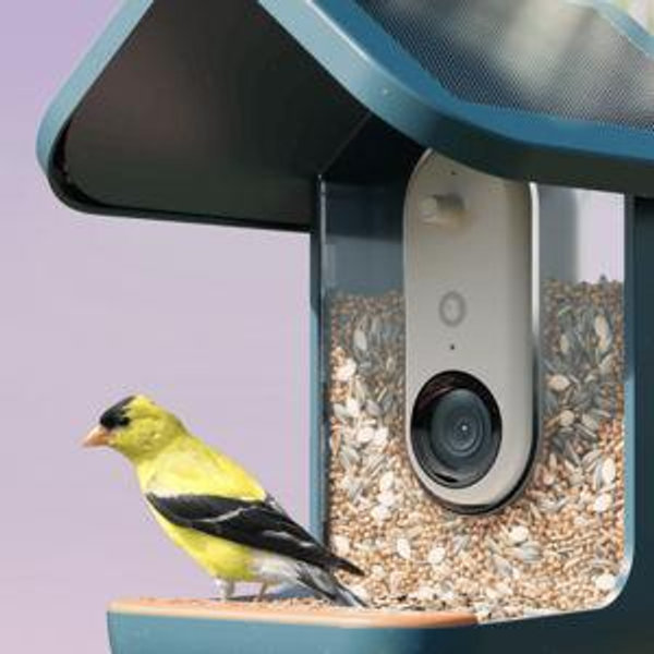 Smart Bird Feeder PRO Solar