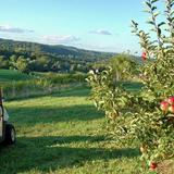 Lyman Orchards