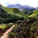 Jonkershoek Nature Reserve