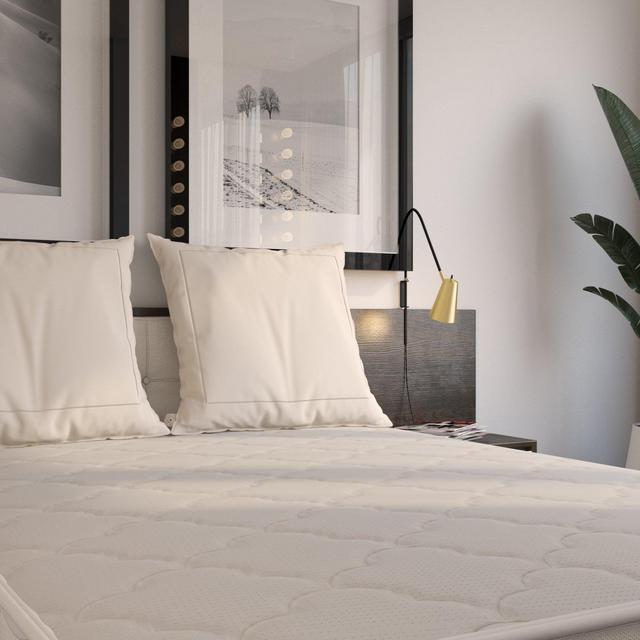 Certified Organic Wool Pillow — Euro