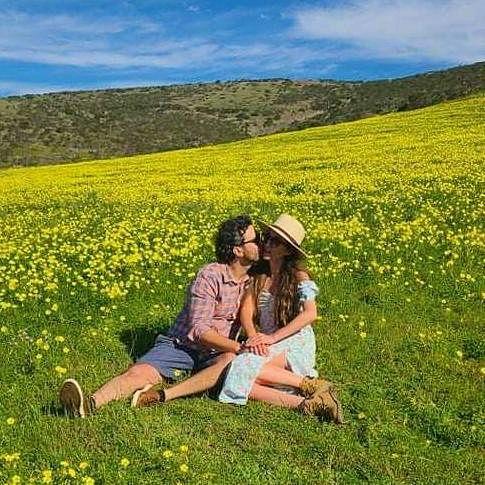 California Halfmoon Bay superblooms