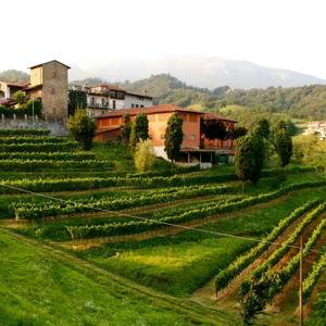 Honeymoon at an Italian Agriturismo