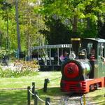 Jardin d'Acclimatation - Family fun (near wedding venue)