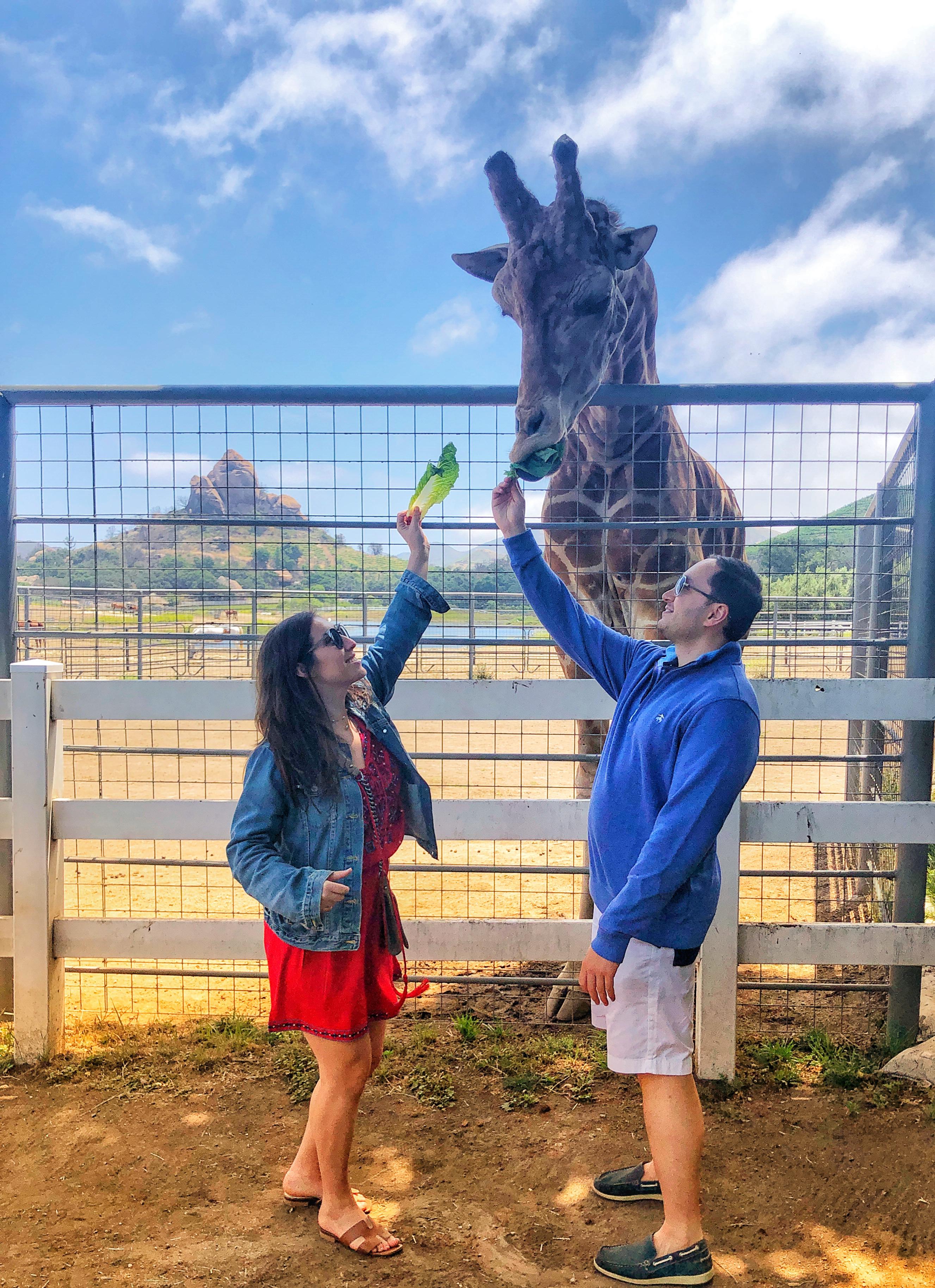 The Wedding Website of David Moskowicz and Amanda Sall