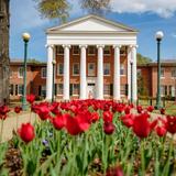 Ole Miss