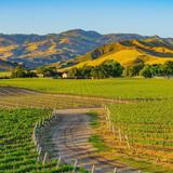 Santa Ynez Valley