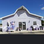 The Purple Cow