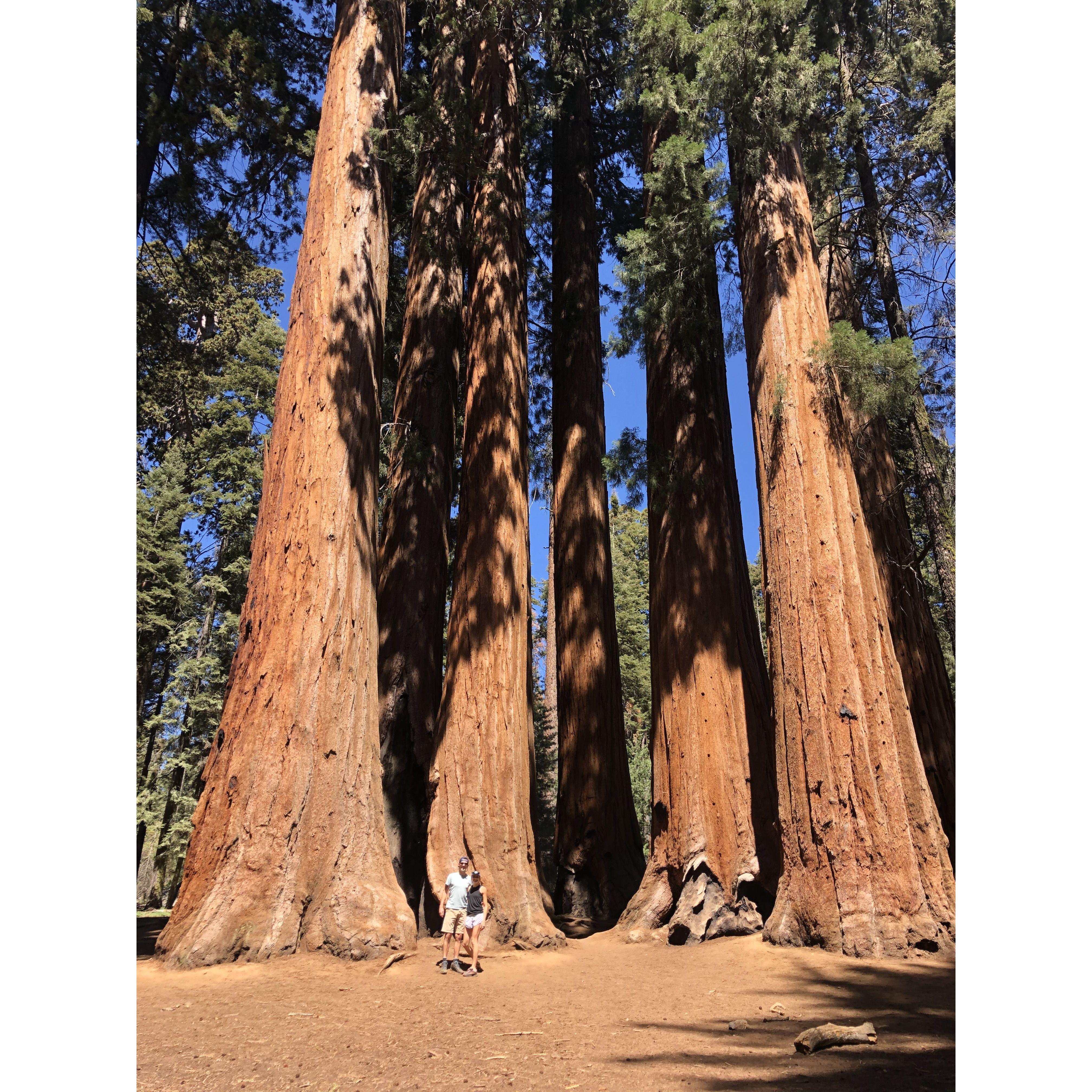 2021, Sequoia National Park, CA