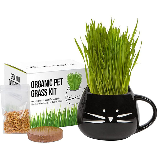 Cat Grass Growing Kit with Organic Seed, Organic Soil and Cat Planter. Great Learning Activity or Project for Home. Natural Hairball Control, Remedy for Cats. Natural Digestive Aid. USA Manufactured.