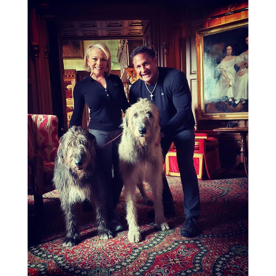 Irish wolfhounds at breakfast 2019