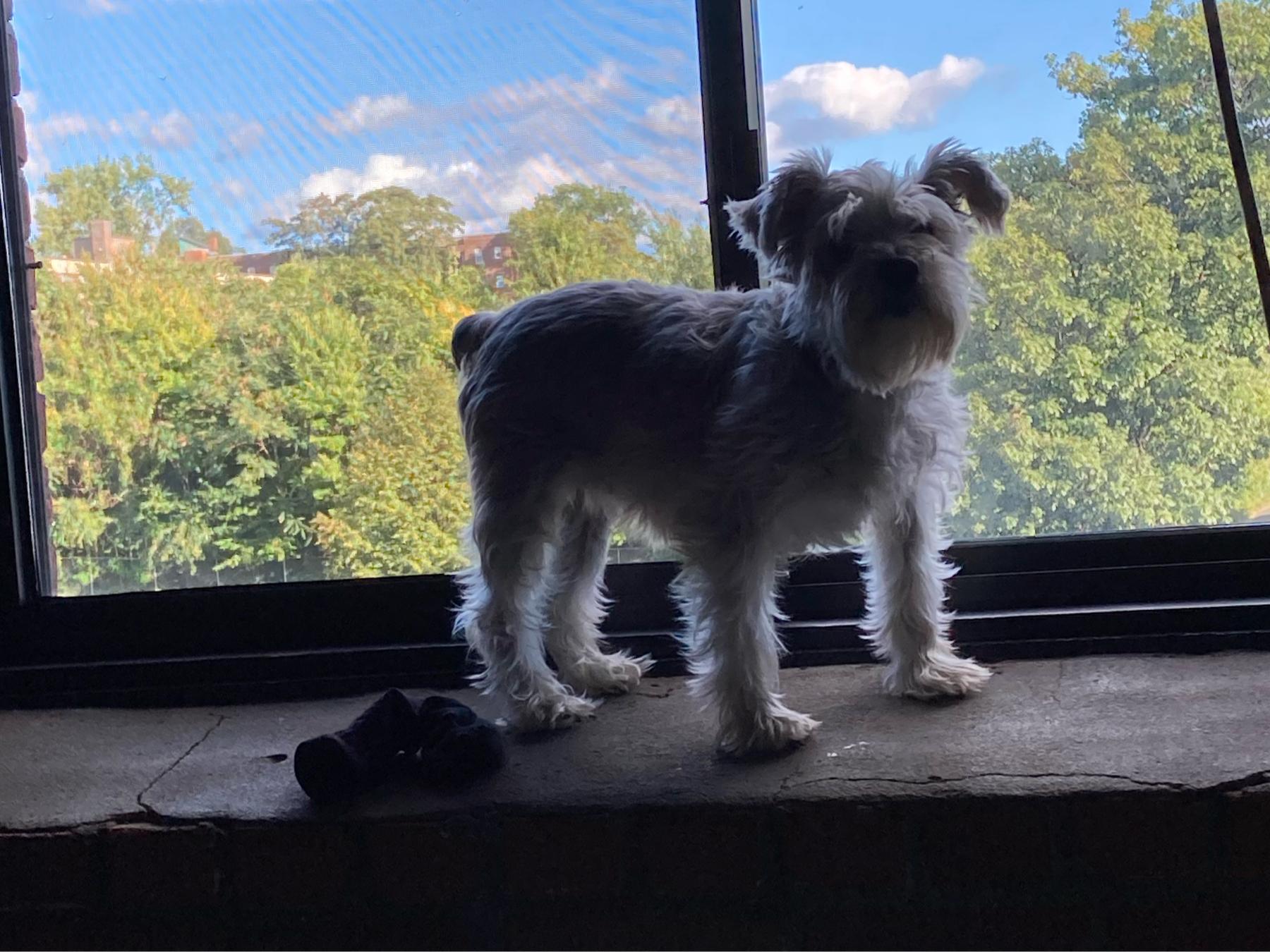 The Wedding Website of Kate Meyers and Daniel Jones