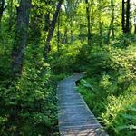 Norman Bird Sanctuary
