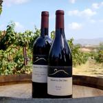 Monte De Oro Winery