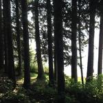 Hiking in McCall, Idaho