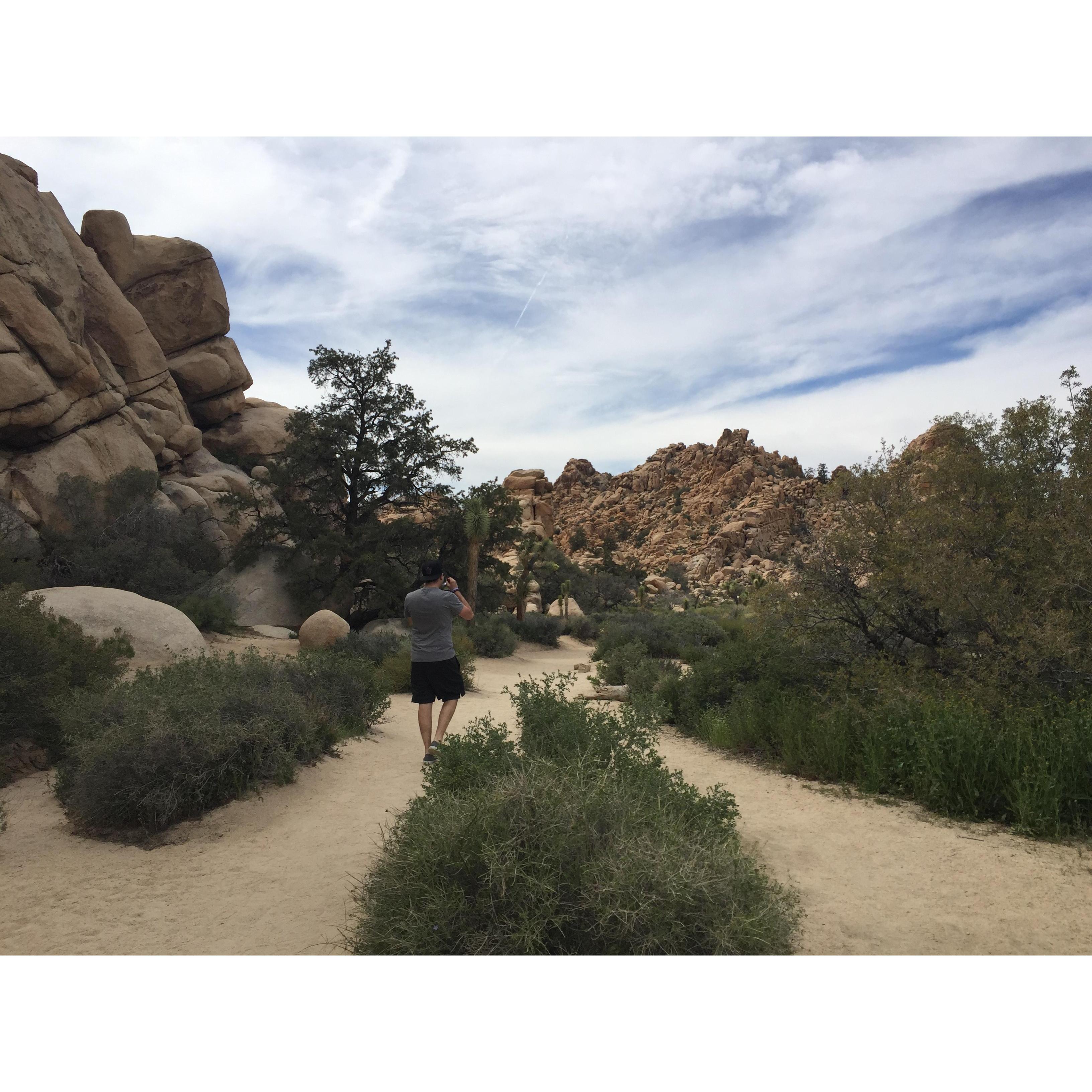Joshua Tree National Park, 2019!