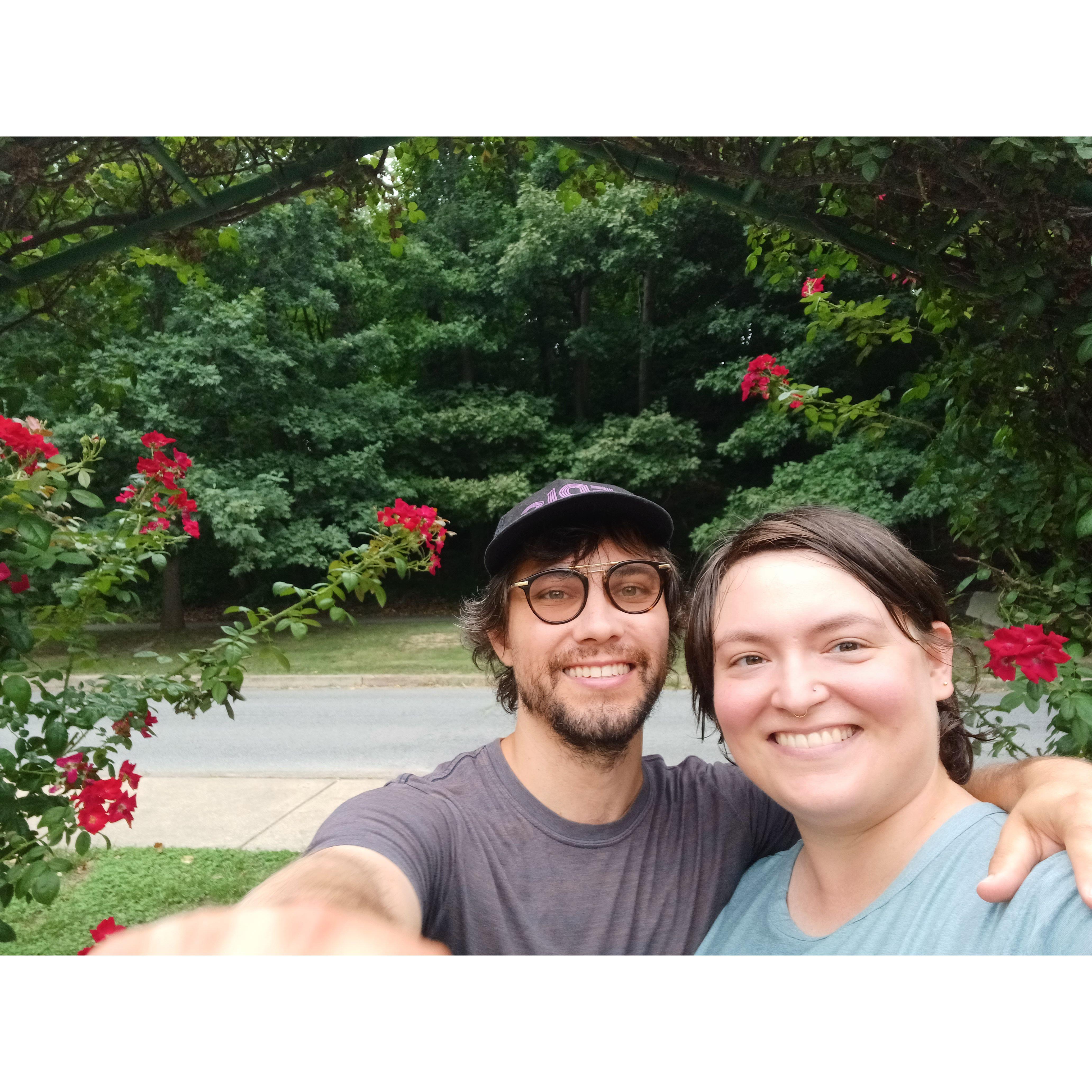 The Rose Garden in Wilmington!