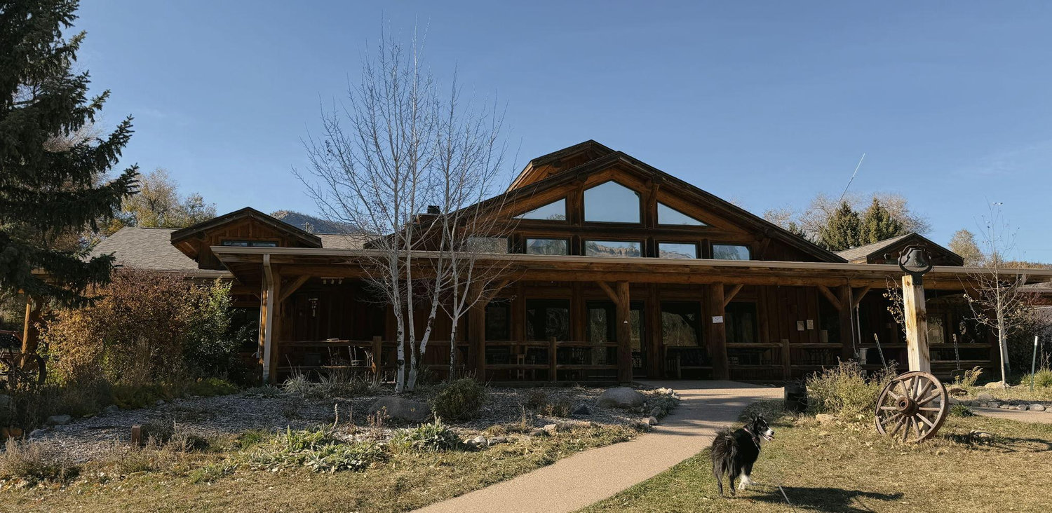 The Wedding Website of Clara Scholtz and Austen Kreie