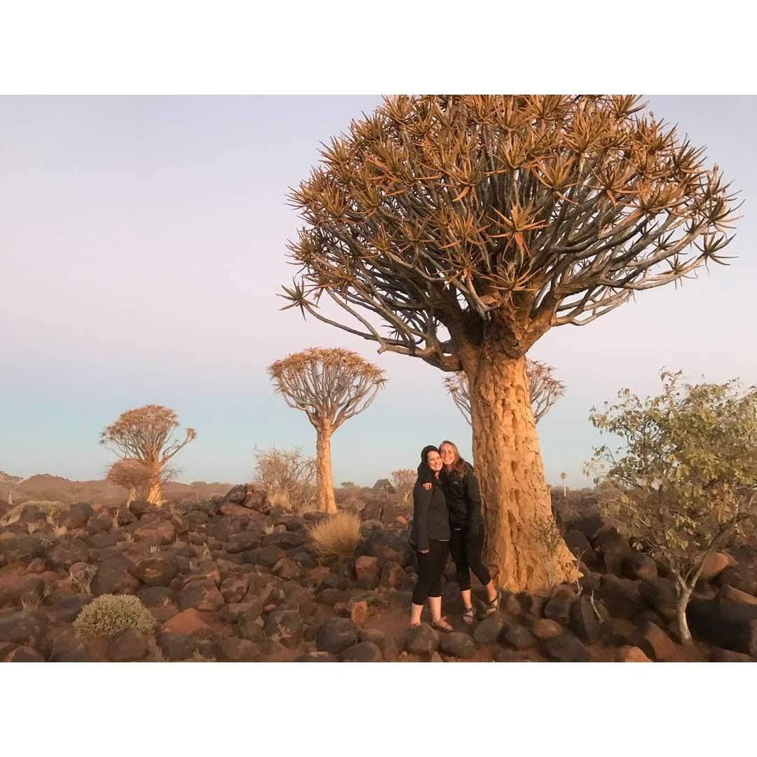 Quiver Tree Forest - Namibia, 2018:

After college, Katie moved to Zambia to teach in the Peace Corps. Leigha flew out to Namibia to explore with Katie.