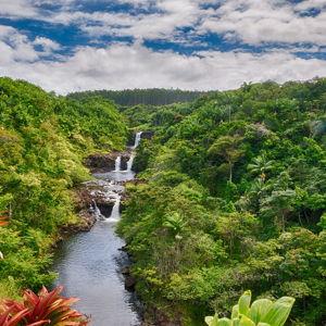 Honeymoon Excursion