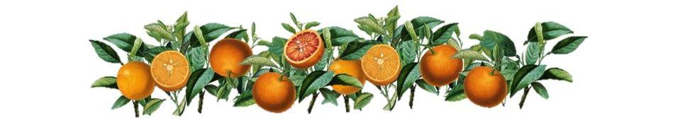 The Wedding Website of Alice Palmer and Aidan O'Kelly