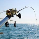 Fishing Charters