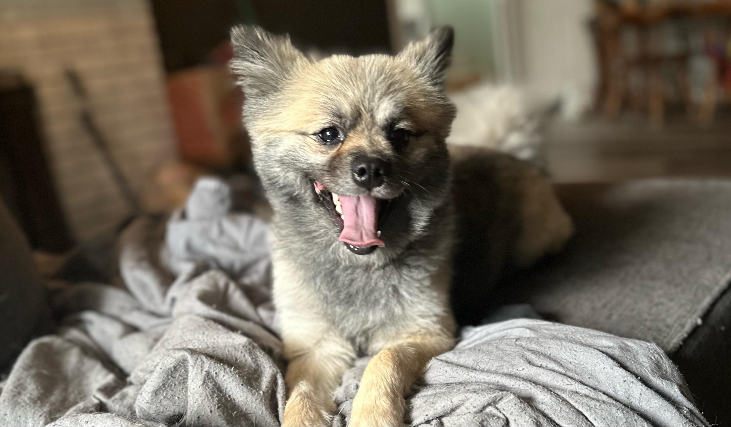 The Wedding Website of Haley Hackenberg and Seth Jackson