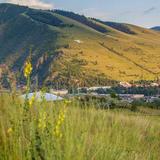 Hike the "M" Trail