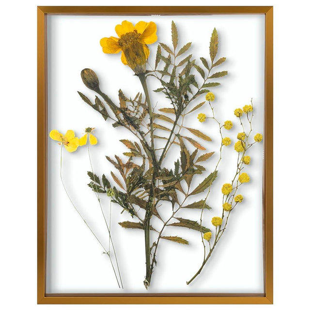 Frametory, Floating Picture Frame 11x14 - Bronze Metal Photo Frame - Real Glass - for Wall Mount Displays