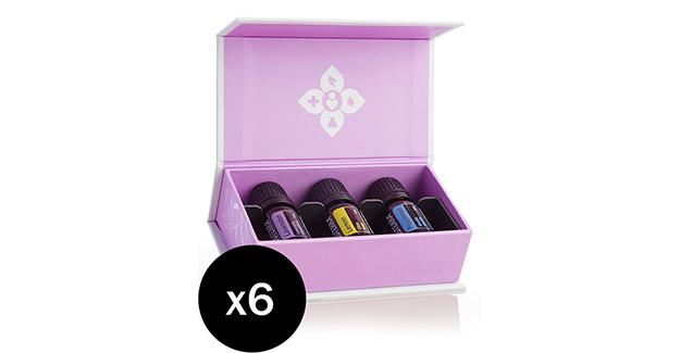 Introductory Kit 6pk