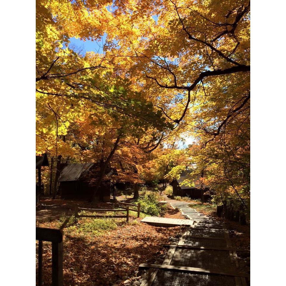 A view of cabin row in fall.